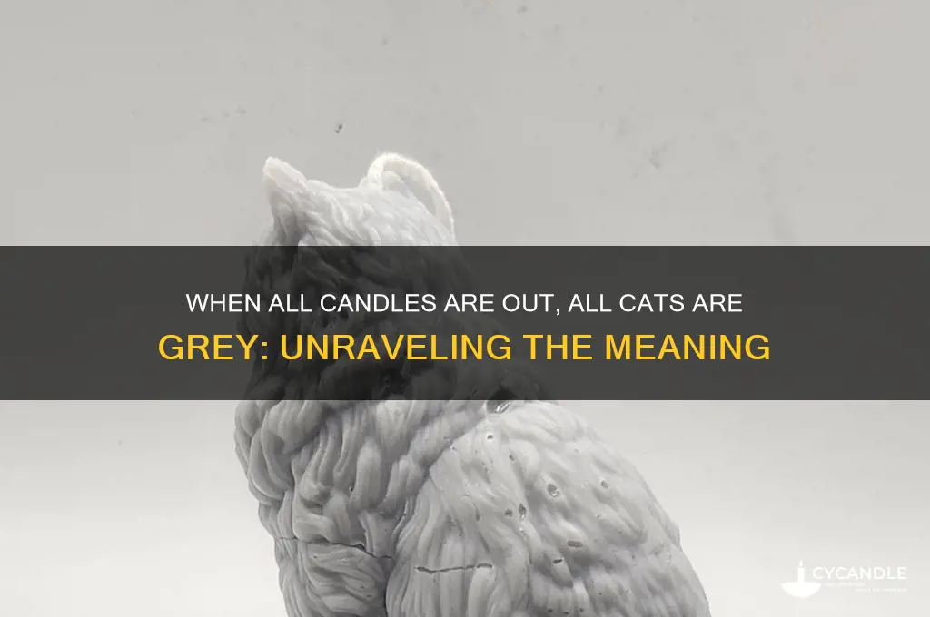 when all candles be out all cats be grey meaning