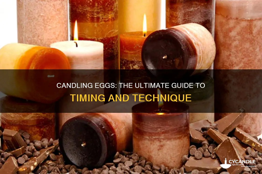 when and how to candle eggs