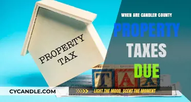 Candler County Property Taxes: Due Date and Details