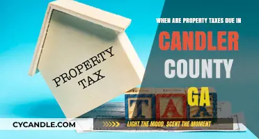 Property Tax Payment Deadlines in Candler County, GA