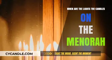 When to Light the Menorah Candles: A Hanukkah Guide