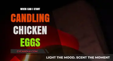 When to Begin Candling Chicken Eggs: A Beginner's Guide