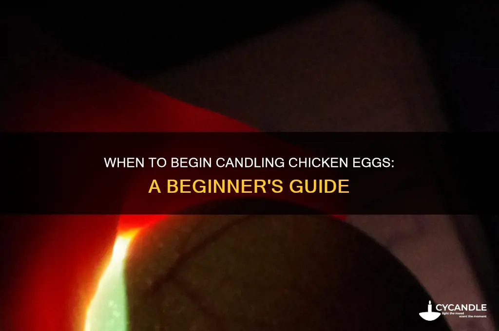 when can i start candling chicken eggs