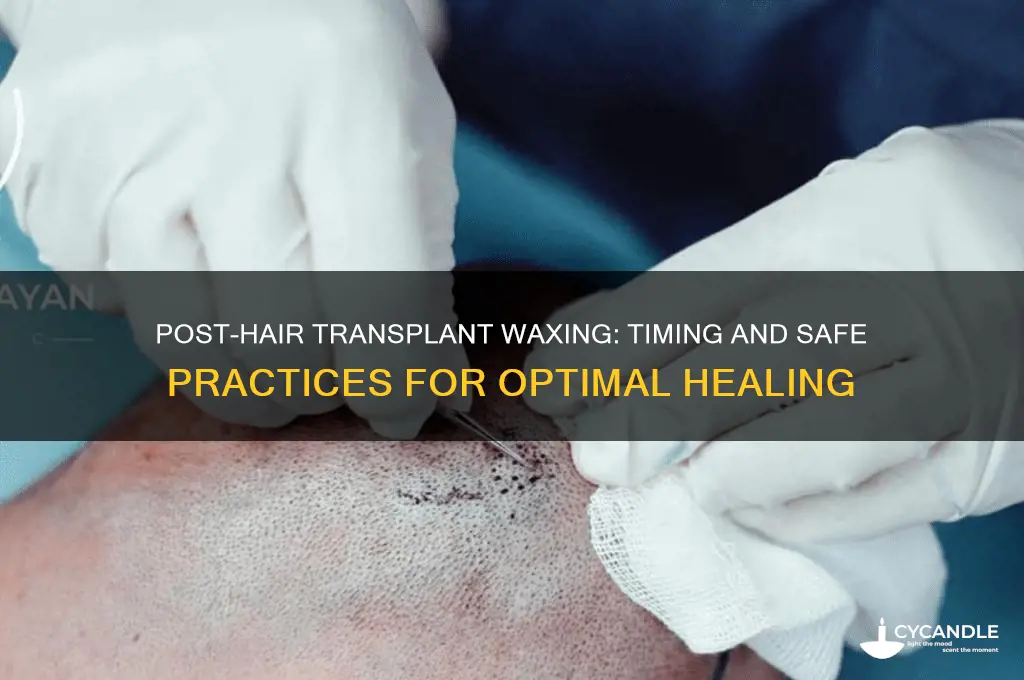 when can i use wax after hair transplant