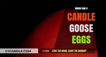 Candling Goose Eggs: Timing and Techniques for Successful Hatching