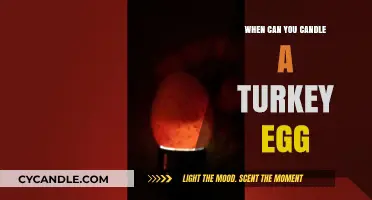 Candling Turkey Eggs: Timing and Techniques for Successful Hatching