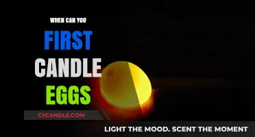 Candling Eggs: The Perfect Timing for Your First Inspection