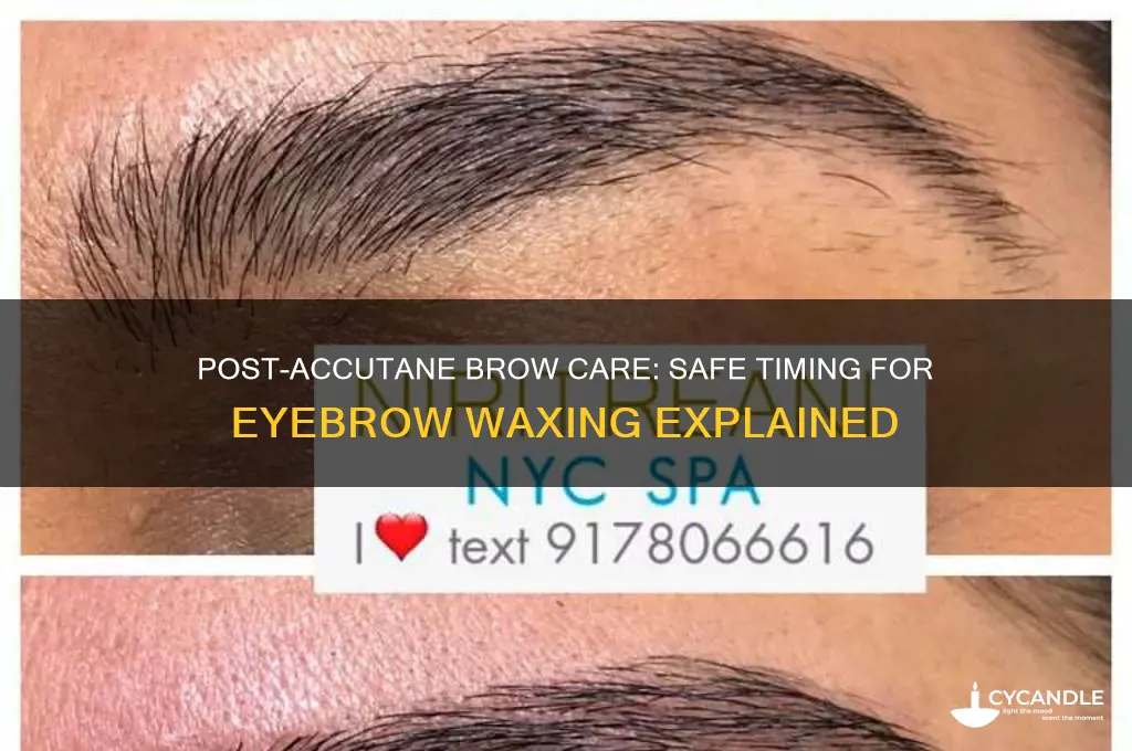 when can you get your eyebrows waxed after accutane