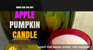 Perfect Timing to Gift Apple Pumpkin Candles for Cozy Seasons