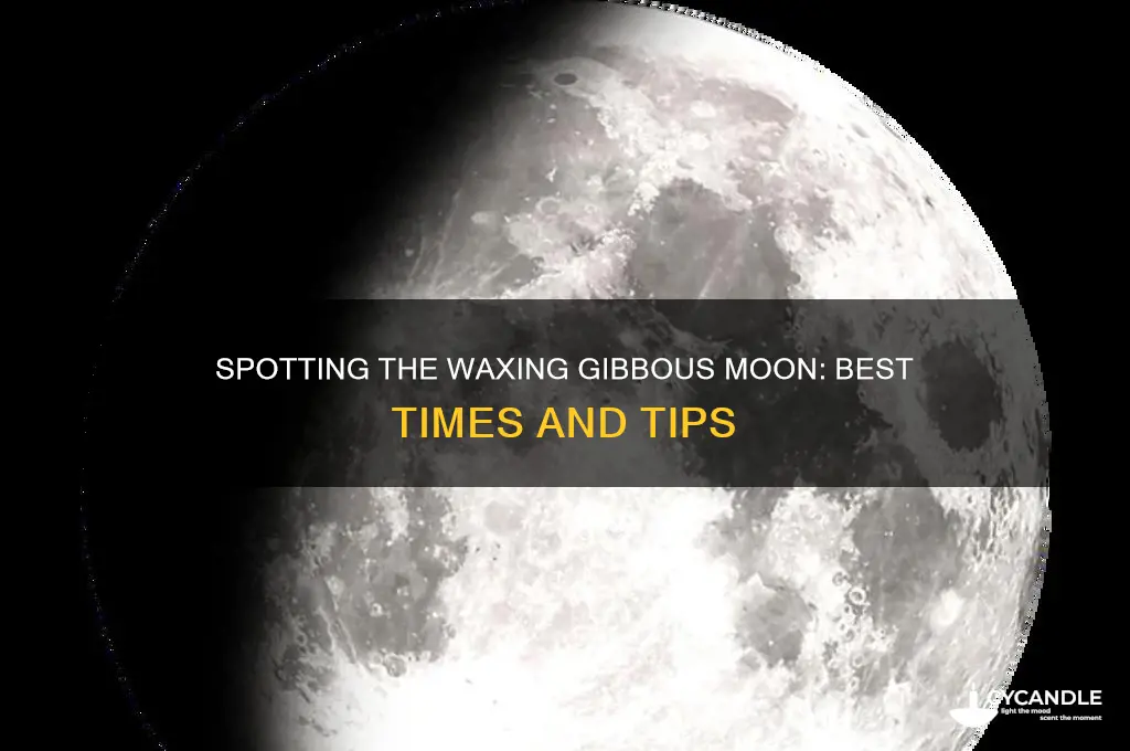 when can you see a waxing gibbous
