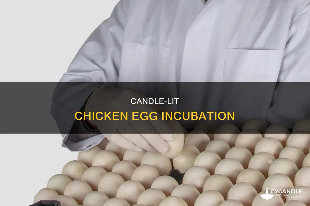 when candle chicken eggs