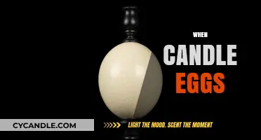 The Intriguing History of Candle-lit Egg Incubation