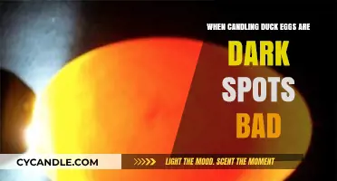 Candling Duck Eggs: What Do Dark Spots Mean?