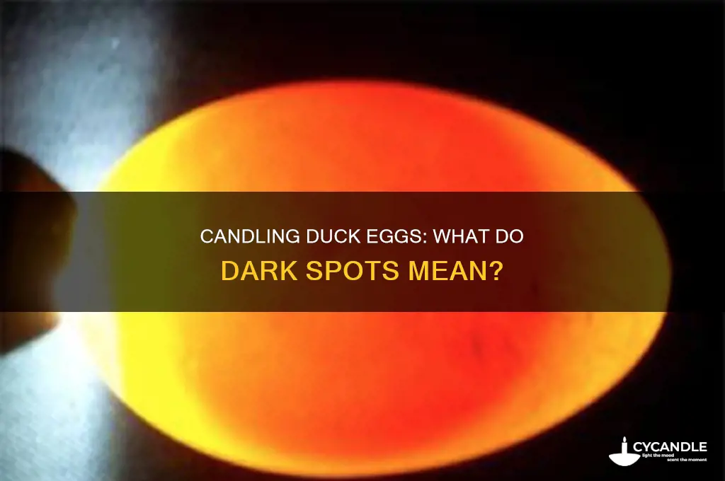 when candling duck eggs are dark spots bad