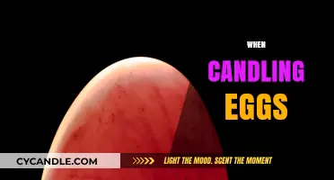 Candling Eggs: A Quick Guide to Doing It Right