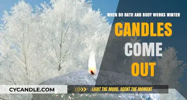 Winter Warmth: When to Expect Bath & Body Works Seasonal Candles