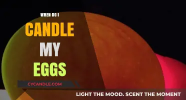 The Perfect Timing for Candling Your Eggs