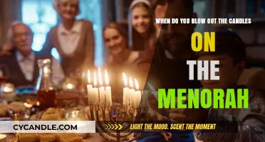 When to Light the Menorah: A Guide to Candle Traditions