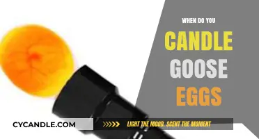 Candling Goose Eggs: Timing and Techniques for Successful Hatching