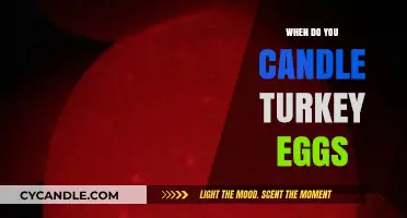 Candling Turkey Eggs: Timing and Techniques for Hatching Success