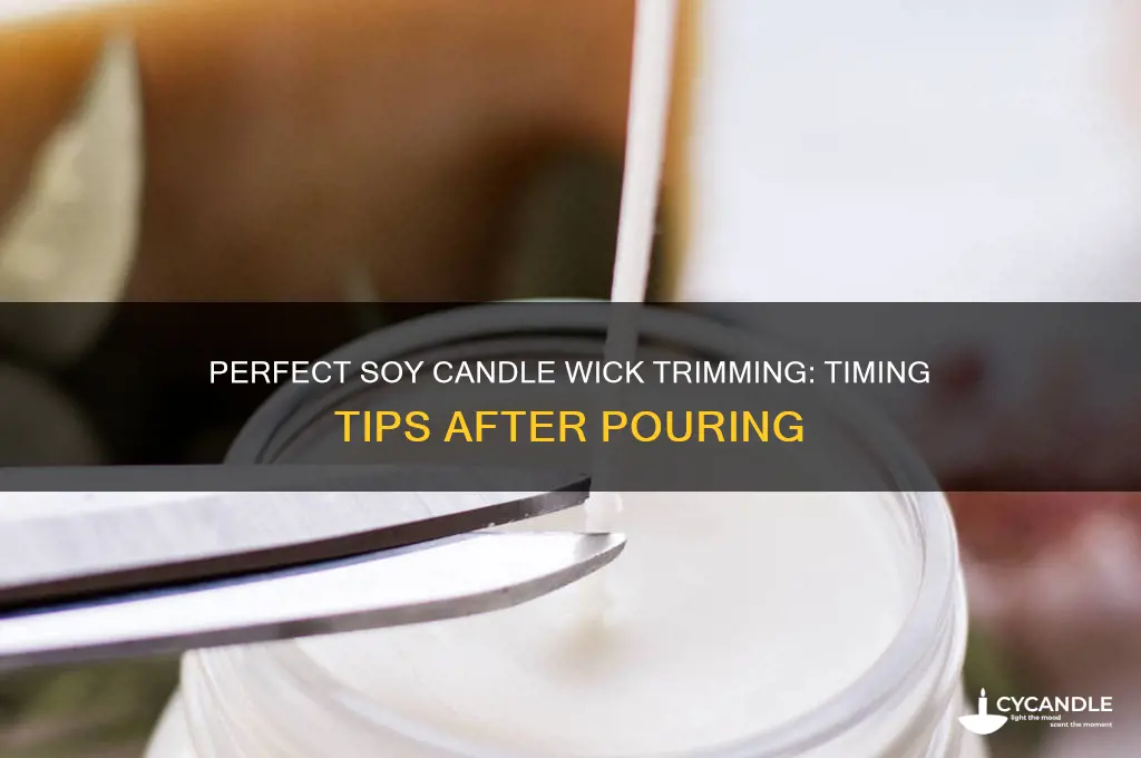 when do you trim your wicks after pouring soy candles