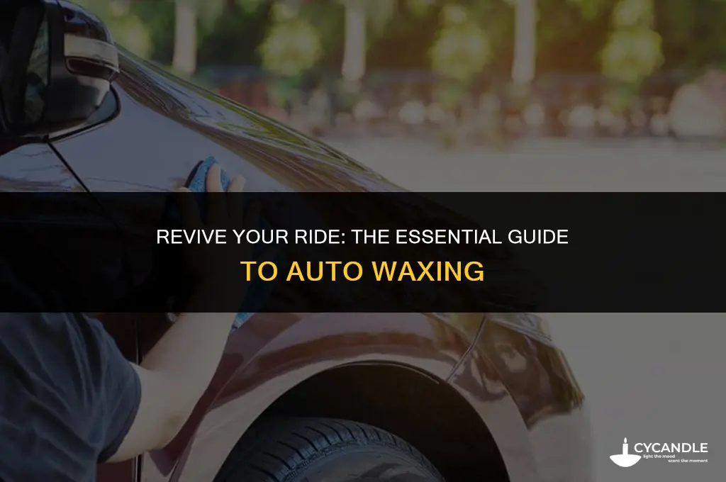 when does a car need types of wax auto detailing