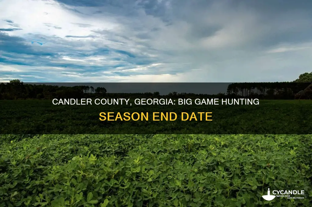 when does big game season end in candler county georgia