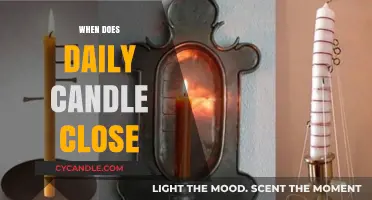 Candle Close Time: Daily Market Wrap-Up