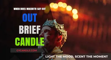 Macbeth's Soliloquy: Out, Out, Brief Candle!