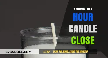 Candle Close Time: 4-Hour Trading Window