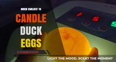 Candling Duck Eggs: The Earliest Time to Start