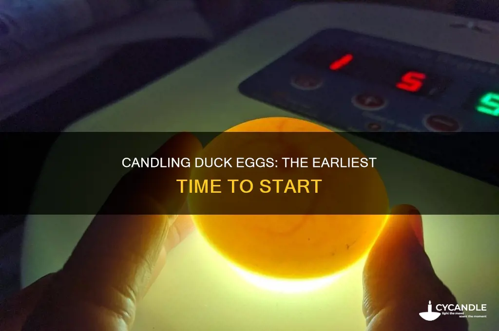 when earliest to candle duck eggs