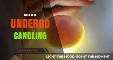 The Art of Egg Candling: A Guide to Understanding Embryo Development