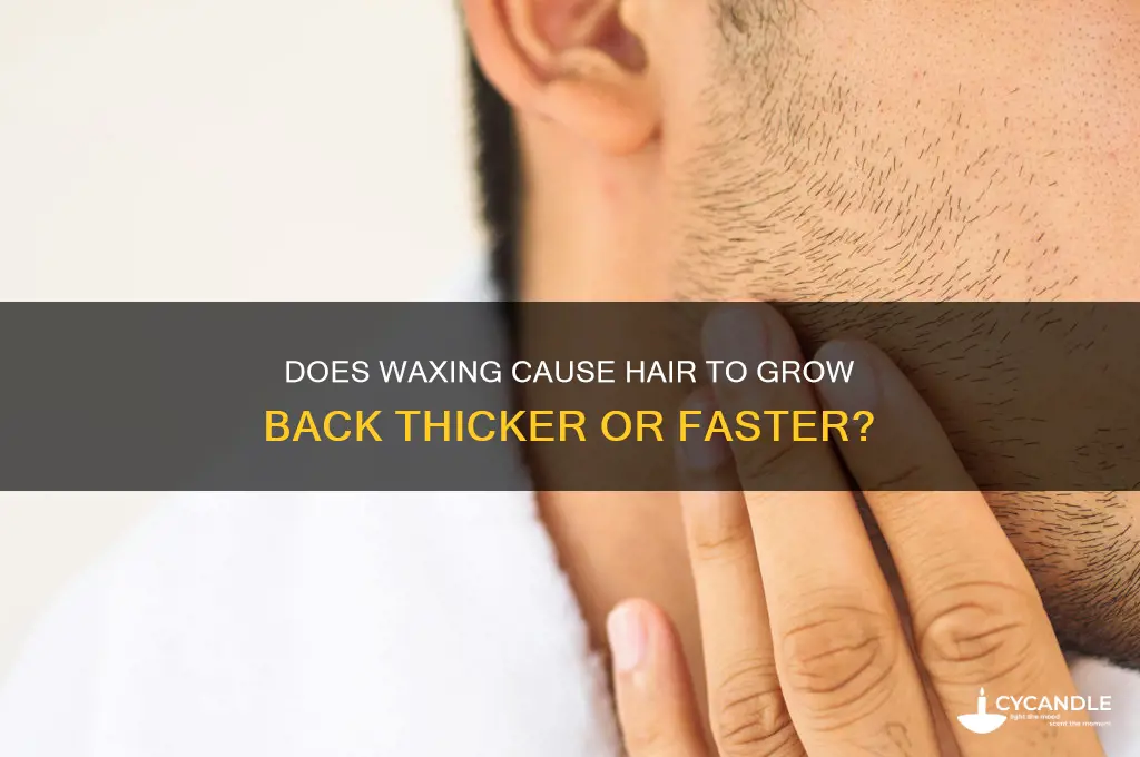 when hair is removed with wax does it grow back