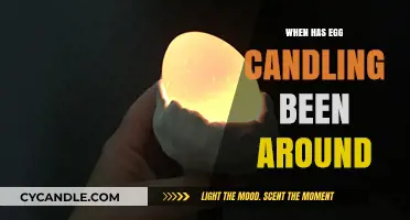 The Ancient Art of Egg Candling