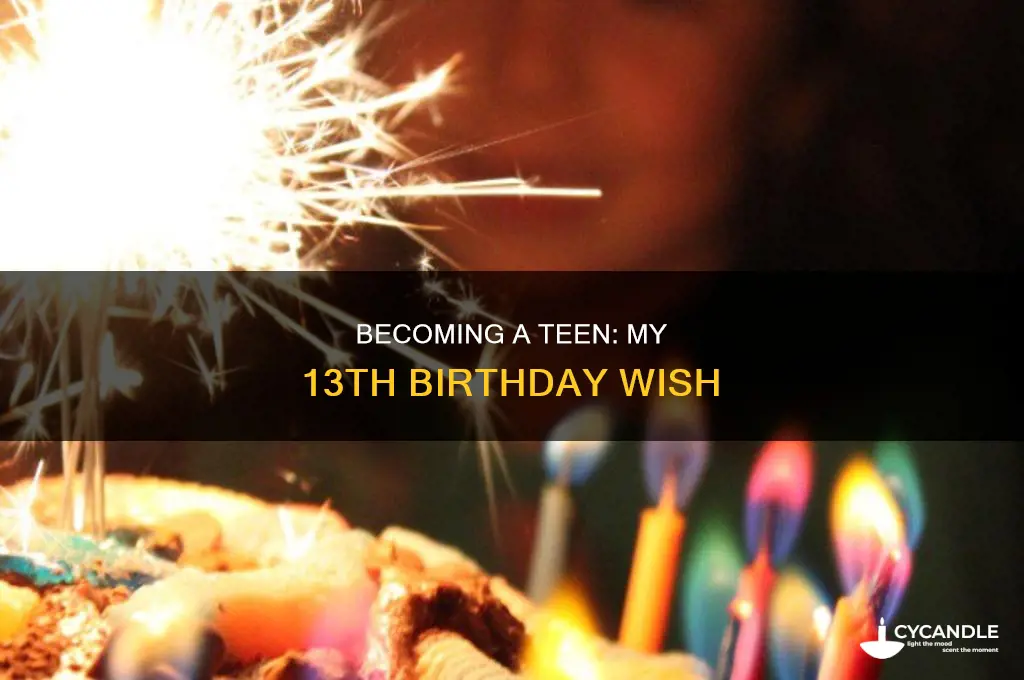when i turned 13 i blew out my candles