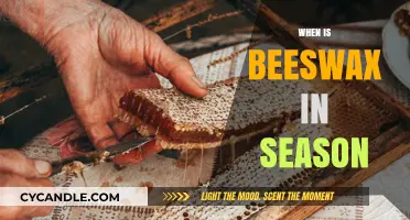 When Is Beeswax in Season: A Guide to Harvesting and Uses