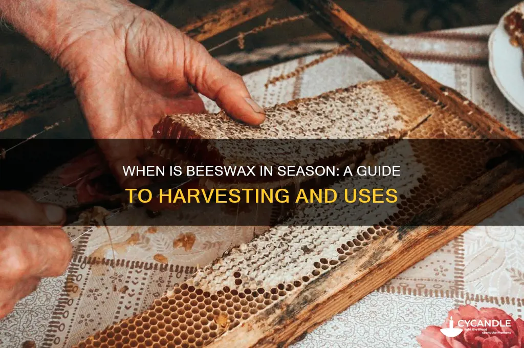 when is beeswax in season