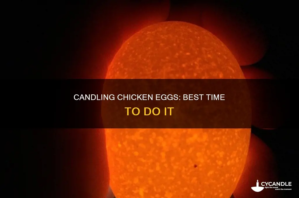 when is the best time to candle chicken eggs