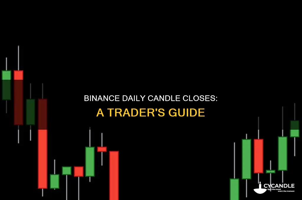 when is the daily close for each candle binance