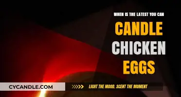 Candling Chicken Eggs: The Latest Time for Accurate Results