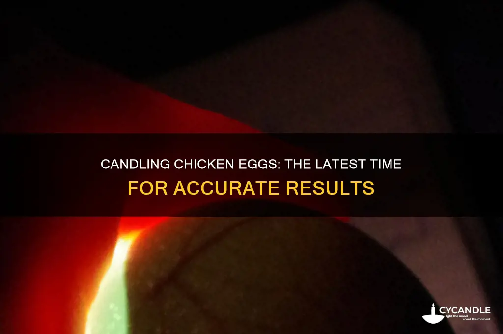 when is the latest you can candle chicken eggs