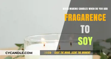 The Art of Soy Candles: Mastering Fragrance Timing