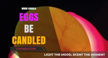 The Best Time to Candle Your Eggs