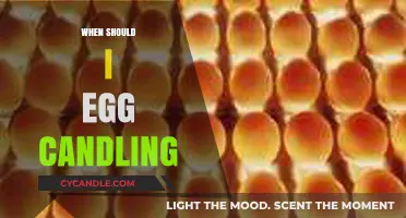 The Perfect Time for Egg Candling