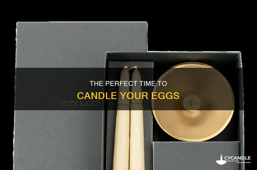 when should i first candle my eggs