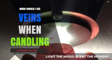 Vein Visibility: The Art of Candling Timing