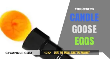 Goose Egg Candling: The Perfect Timing for Success