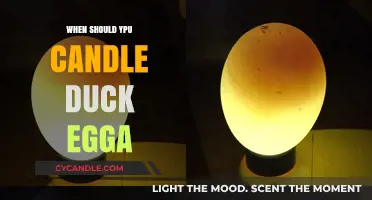 Candling Duck Eggs: The Perfect Timing
