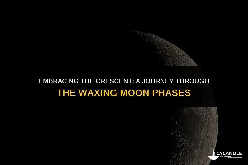 when the moon is waxing